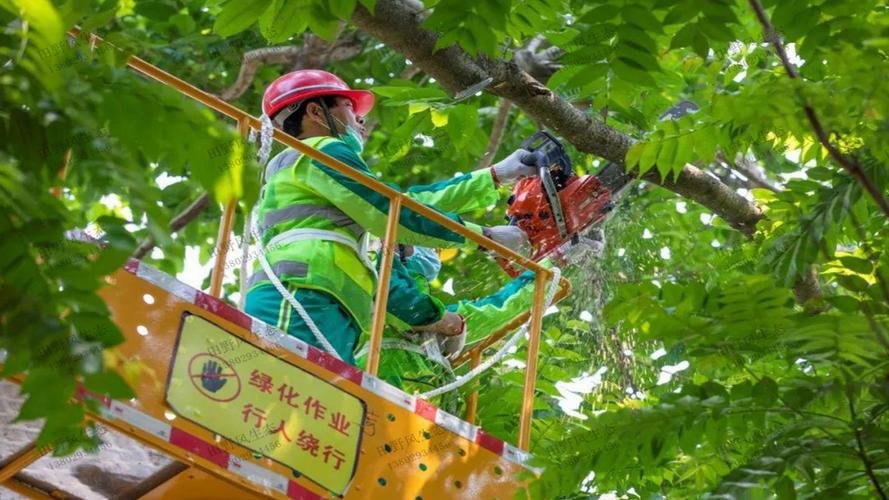 昭通绿化市容行业协会