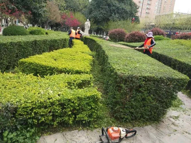 新街口大转盘绿化工程项目