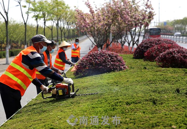 梦之恒园林绿化工程
